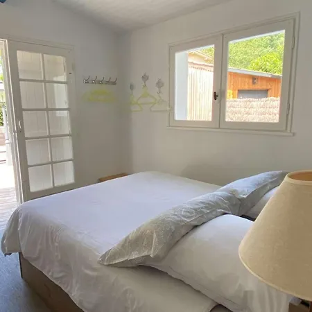 Plain-pied Avec Piscine Et Jardin Arbore A - Fr-1-736-59 Villa Lege-Cap-Ferret