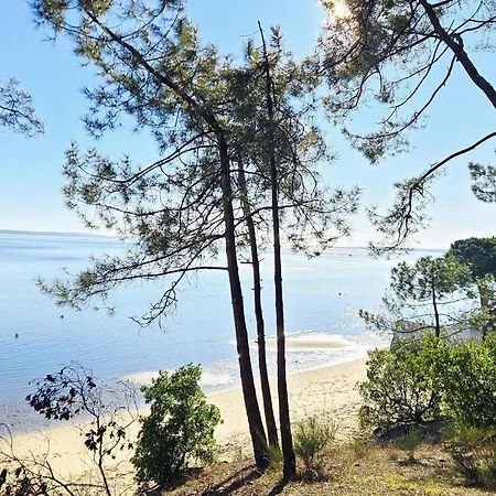 Villa Plain-pied Avec Piscine Et Jardin Arboré à Lège-cap-ferret - Fr-1-736-59