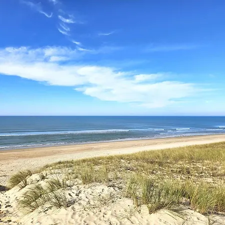 Plain-pied Avec Piscine Et Jardin Arbore A - Fr-1-736-59 Villa Lege-Cap-Ferret